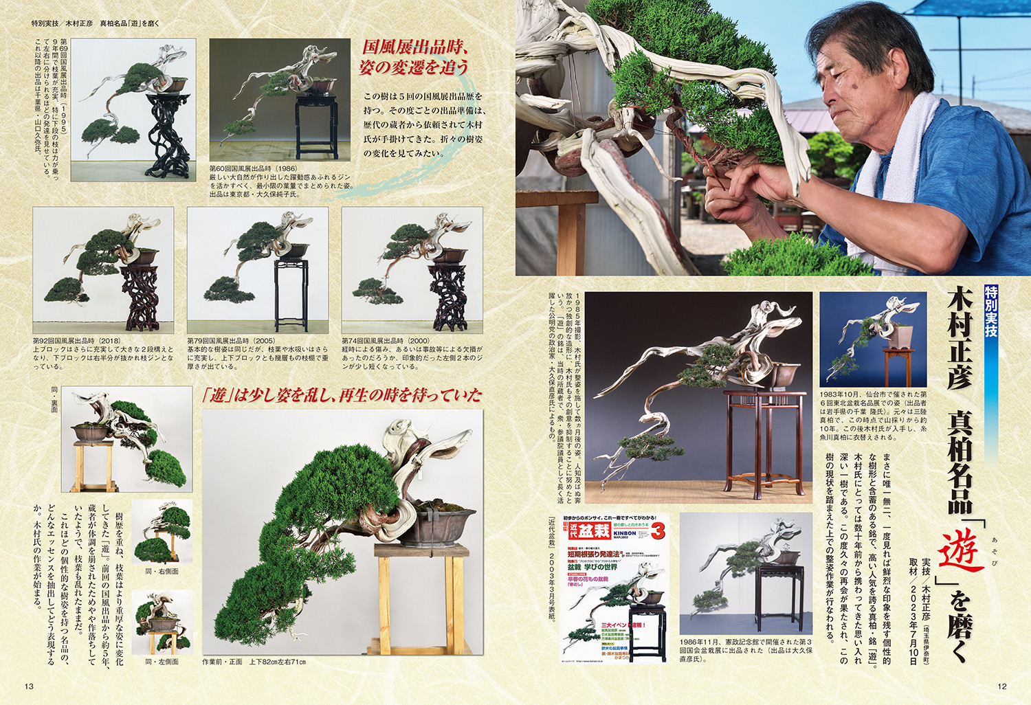 日本盆栽協会誌 48号 49号50号 と盆栽春秋 128冊 日本盆栽協会誌 48号