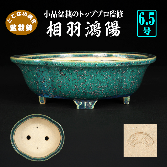 鴻陽織部釉木瓜式鉢 | 盆栽、盆栽書籍、盆栽鉢の通販│近代出版