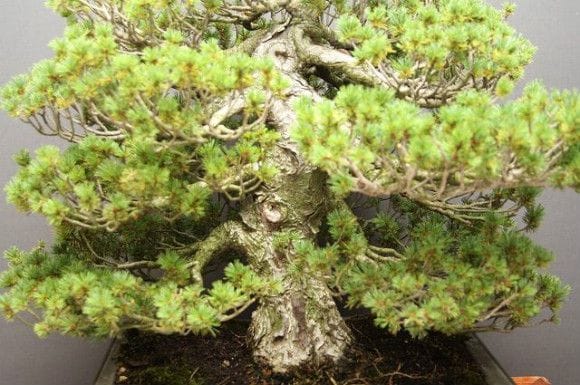 1434_3_cef86a2b-9066-4f1c-85f6