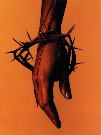 The Vienna Album / Albert Watson | 小宮山書店 KOMIYAMA TOKYO