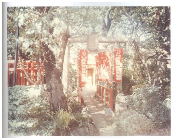 TORII / 鈴木理策 | 小宮山書店 KOMIYAMA TOKYO | 神保町 古書・美術