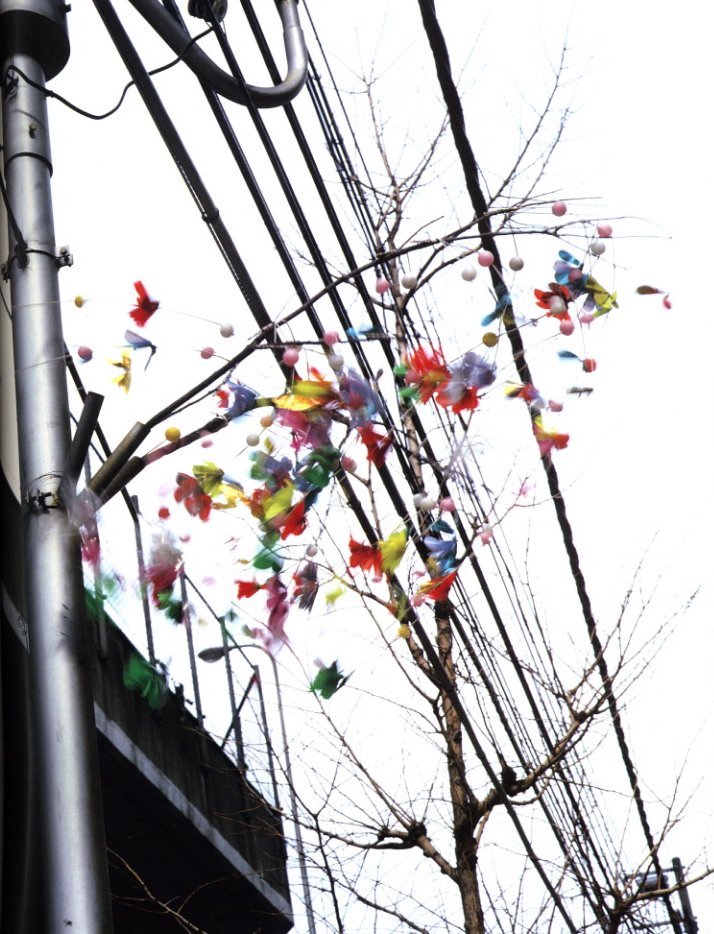 天使祭 / 著：荒木経惟 監修：伊藤俊治 | 小宮山書店 KOMIYAMA TOKYO