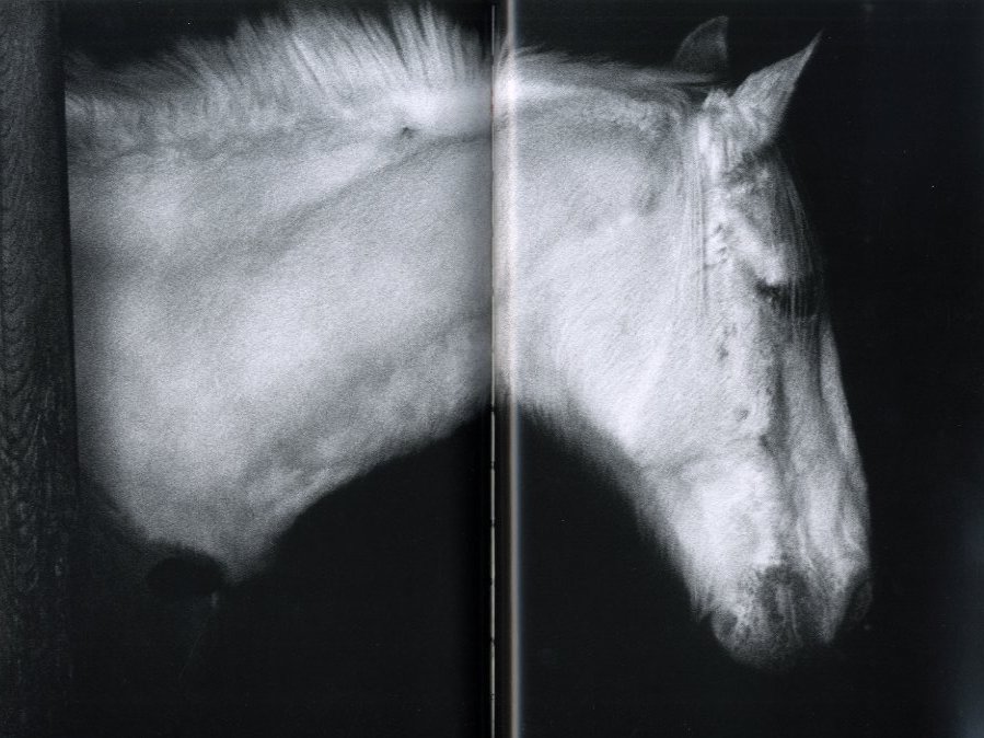 The World Through My Eyes / Author: Daido Moriyama Edit: Filippo