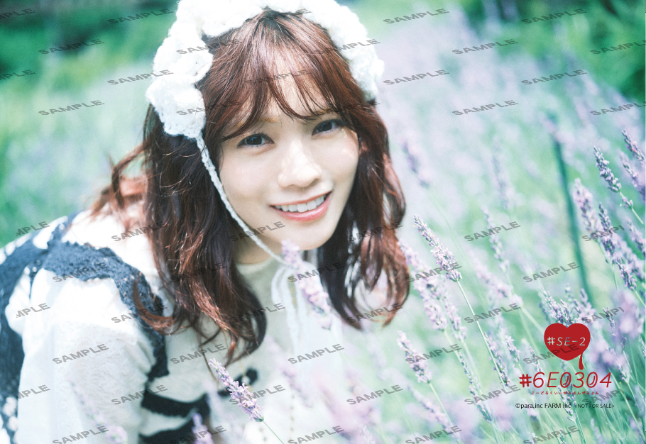 宮田愛萌写真集制作プロジェクト『#6E0304 』特装版 #SE-2 ネット