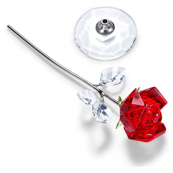 Swarovski Flower Dreams Red Rose Large Floral Figurine | 5490756