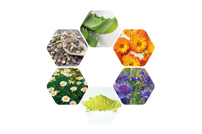 イトーフェイスモイスチャーゲル | 化粧品 | 伊藤超短波 エステ関係者