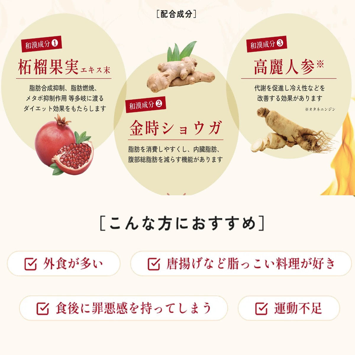 スリムレイ バーニー 15g×30包 24箱セットの卸・通販 | ビューティガレージ