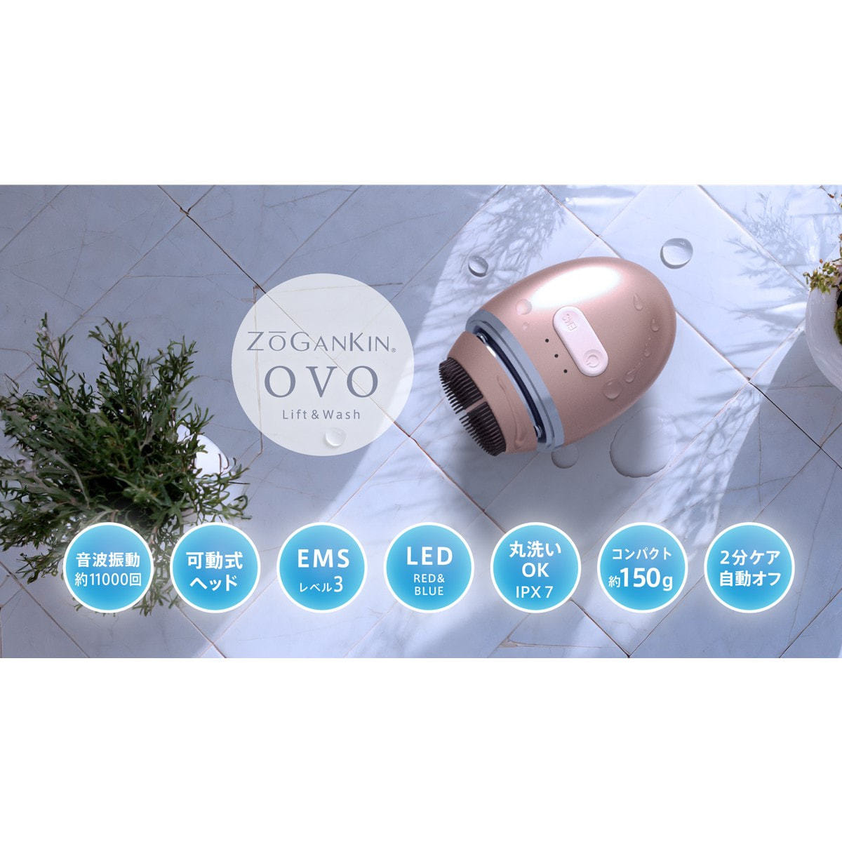 ZOGANKIN OVO（ゾーガンキン オーヴォ）の卸・通販 | ビューティガレージ