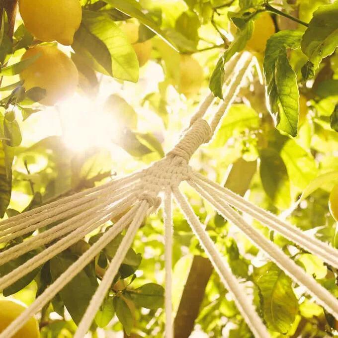 Maison Margiela Replica Under The Lemon Trees Eau De Toilette