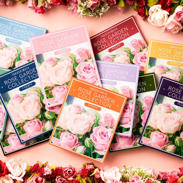 カタログギフト 高島屋 法人事業部 セレクト タカシマヤ ローズ