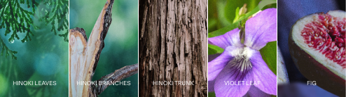 BAUM EAU DE TOILETTE HINOKI FOREST｜MIND｜PRODUCTS｜BAUM（バウム）