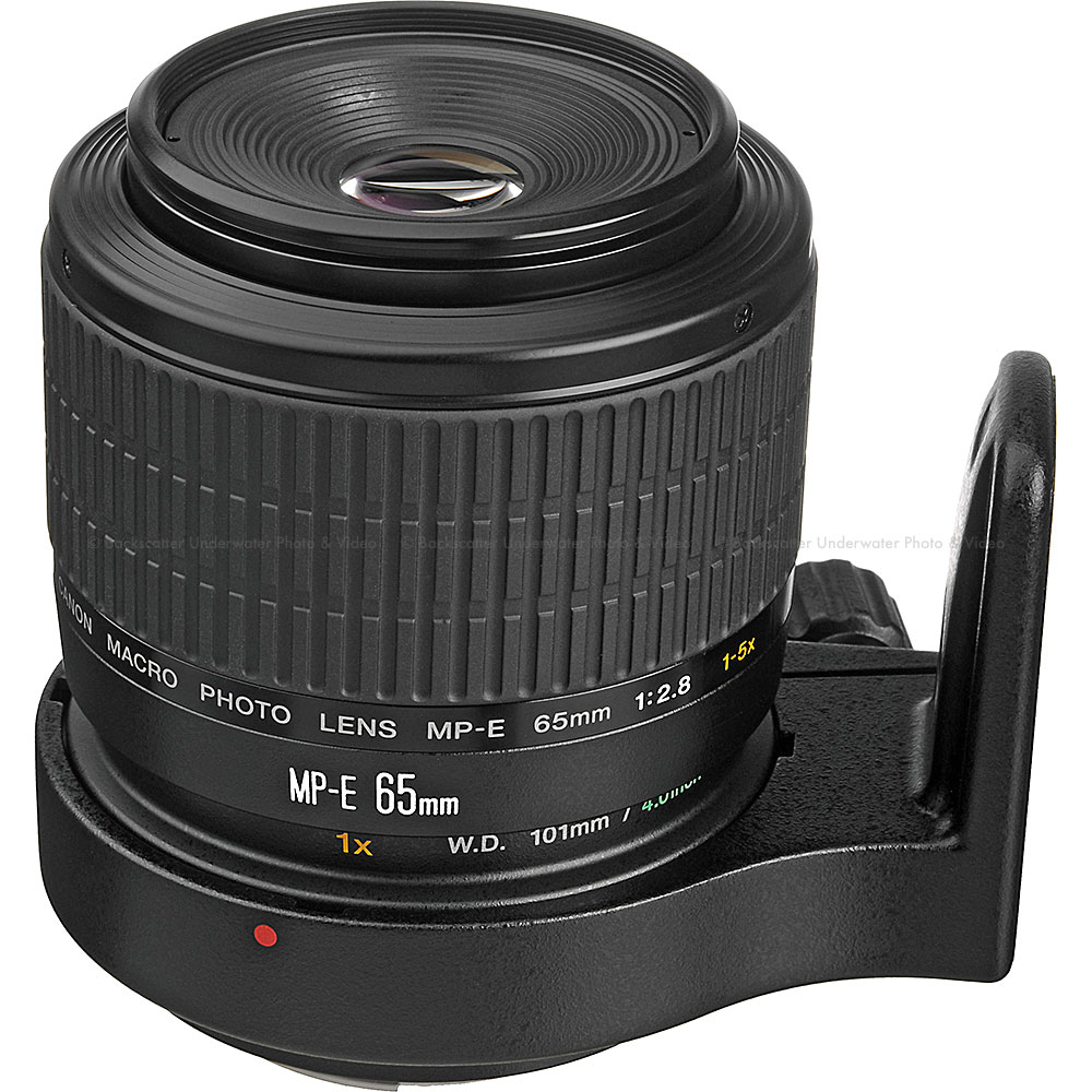 Canon MP-E 65mm f/2.8 1-5x Super Macro Lens