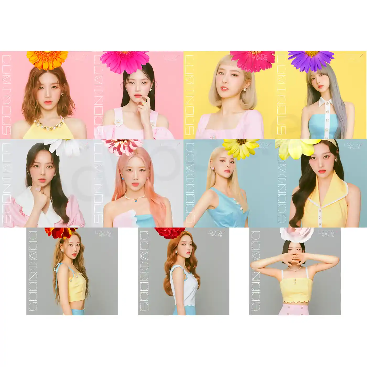 LOONA – Luminous (2nd Japan Single) [Limited Member Edition] – Bak