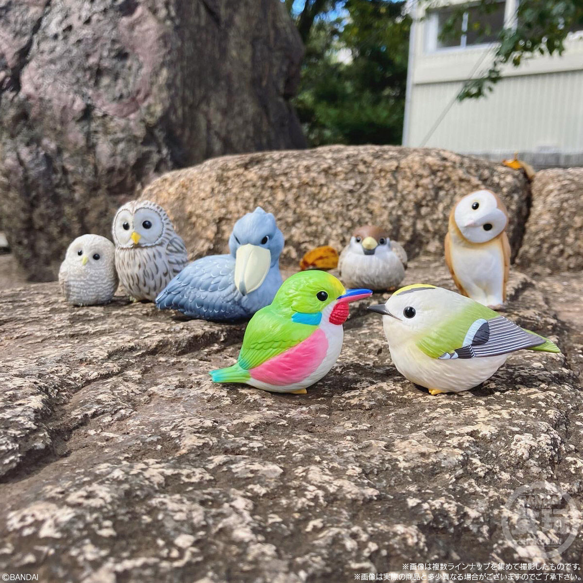 てのりフレンズ7｜発売日：2022年12月5日｜バンダイ キャンディ公式サイト