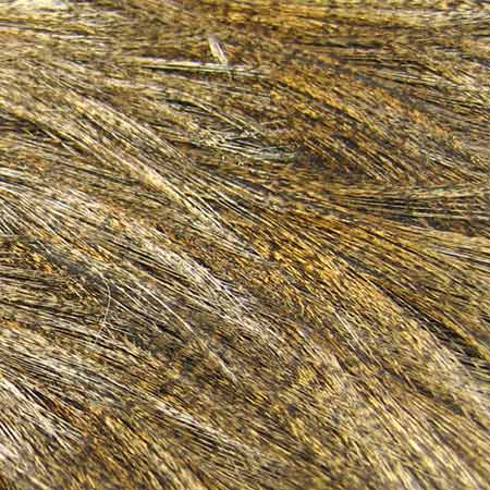 Whiting Farms Coq De Leon Saddle | ホワイティング・ファーム コック