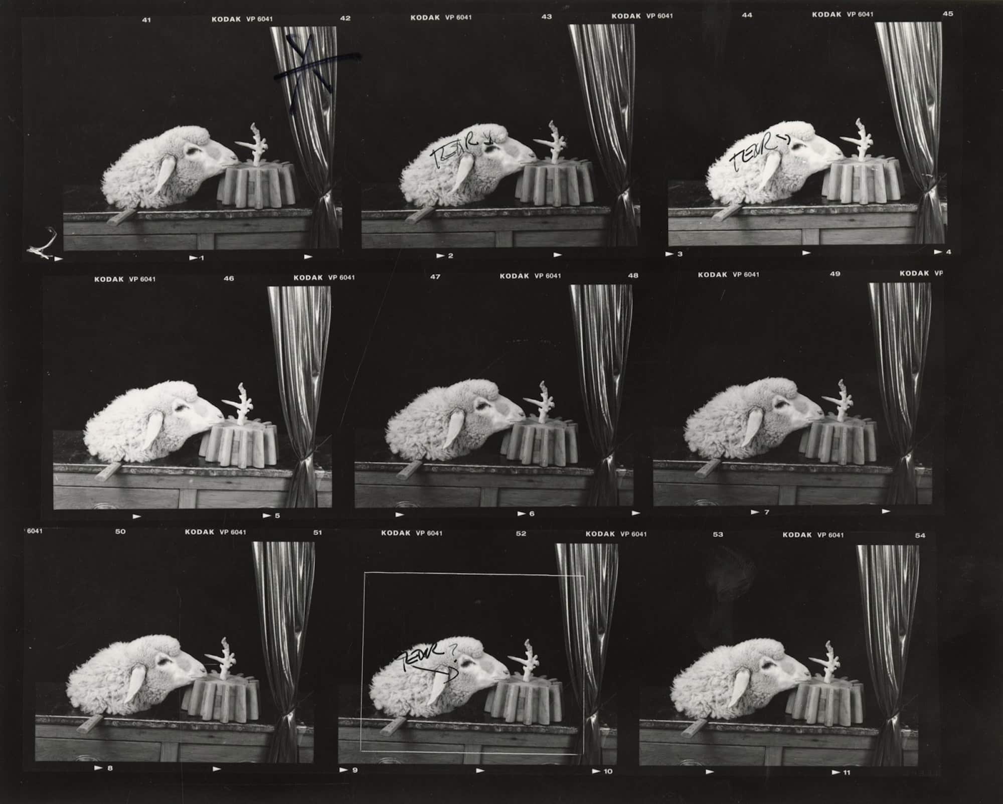 Joel-Peter Witkin on the Beauty in the Grotesque | Blind Magazine