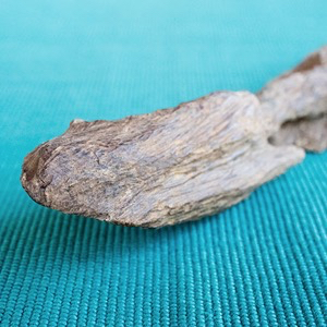 世界最高級の木質素材『沈香』 | 野原工芸｜作り手の裏話