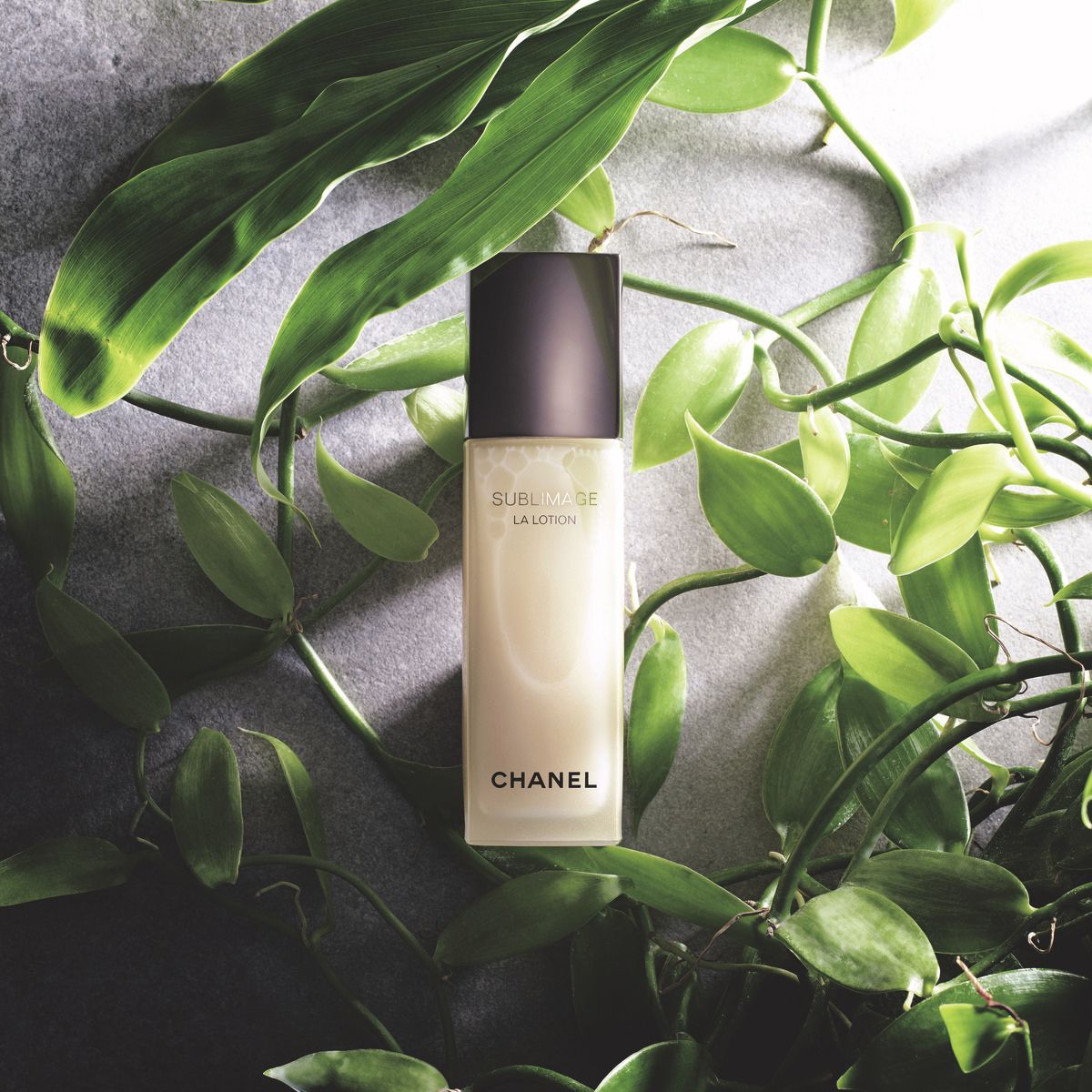 シャネルの化粧水で満たす、上質な光があふれる肌｜美的GRAND | 美的.com