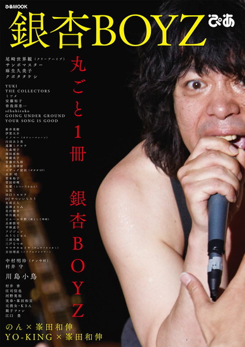 銀杏BOYZトリビュートアルバム『きれいなひとりぼっちたち』アナログ盤