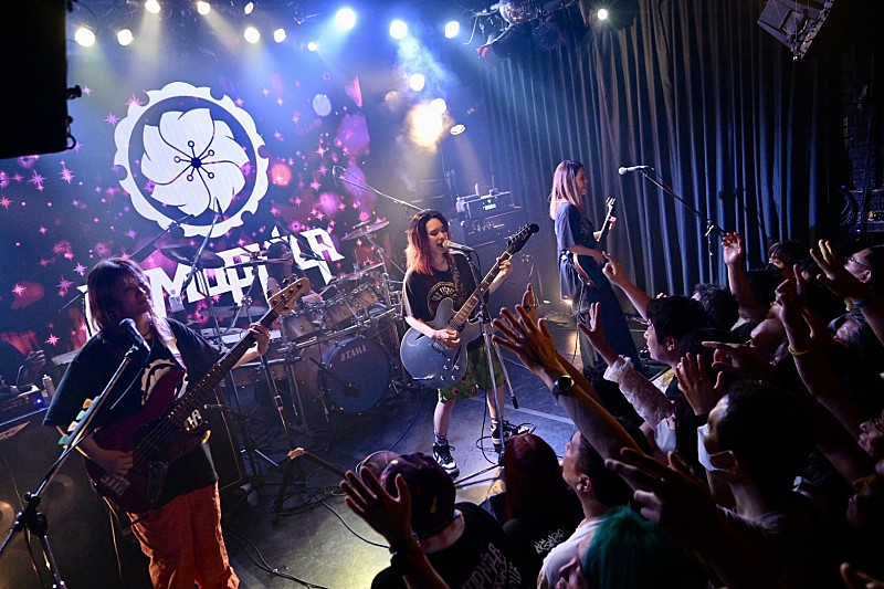 NEMOPHILA、約5年ぶりとなるWildSideTokyo公演のレポート到着 | Daily