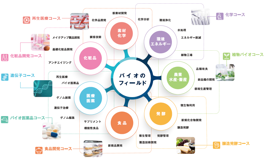 バイオテクノロジーとは？【簡単な事例紹介】 | 東京バイオ