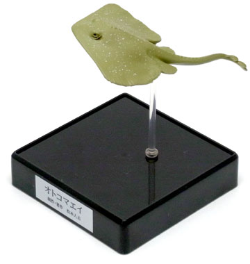 タカラ：松本人志 世界の珍獣