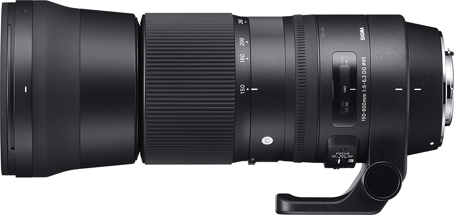 Sigma 150-600mm f5-6.3 Contemporary Lens for Canon | Bragpacker