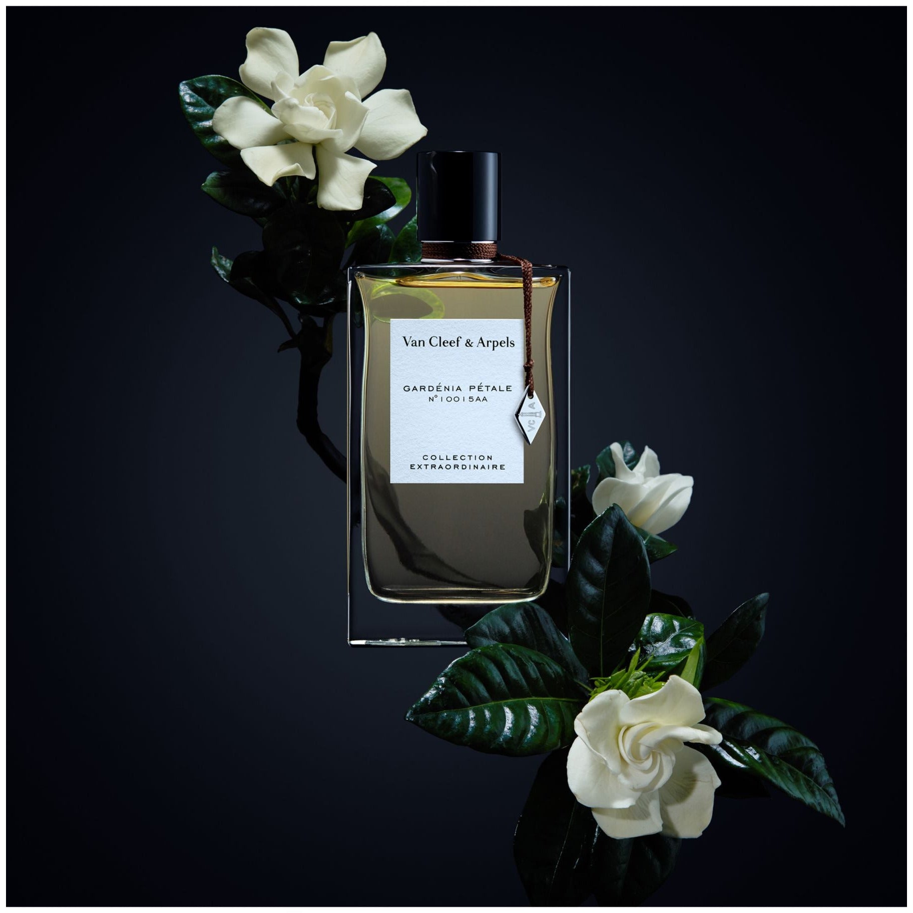 VAN CLEEF & ARPELS Gardenia Petale 75ML @ عطر – Bronze