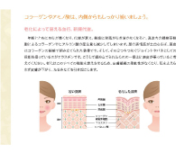 教材セット | 美肌セラピスト®資格取得講座 | 肌の資格 | 通信教育講座