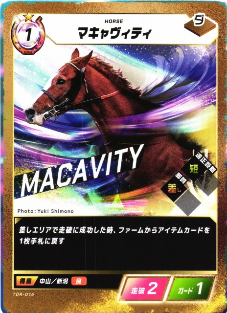 競馬】マキャヴィティ【N】TDR-016 - C-labo OnlineShop