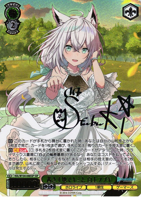 psa8】殲滅の白い光 はやて、なのは、サイン T*4様 ヴァイス