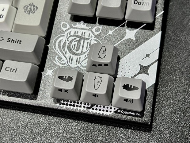 TGS2023：実は構想から約2年、初の「ウマ娘コラボキーボード」が東プレ