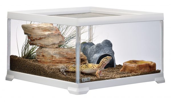 奥行きが広くレイアウト、メンテナンスがしやすい「レプテリアホワイト