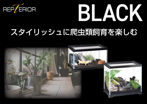 小型爬虫類・両生類等の飼育にインテリアに合うブラックフレームの