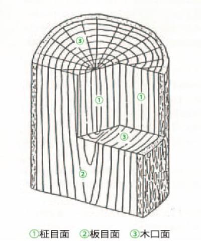 木材の構成 – 玄々化学工業株式会社