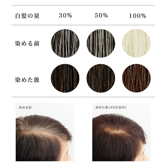 GAIAネットナイアード ヘナ+木藍 黒茶系 100g(100g): ヘアケア