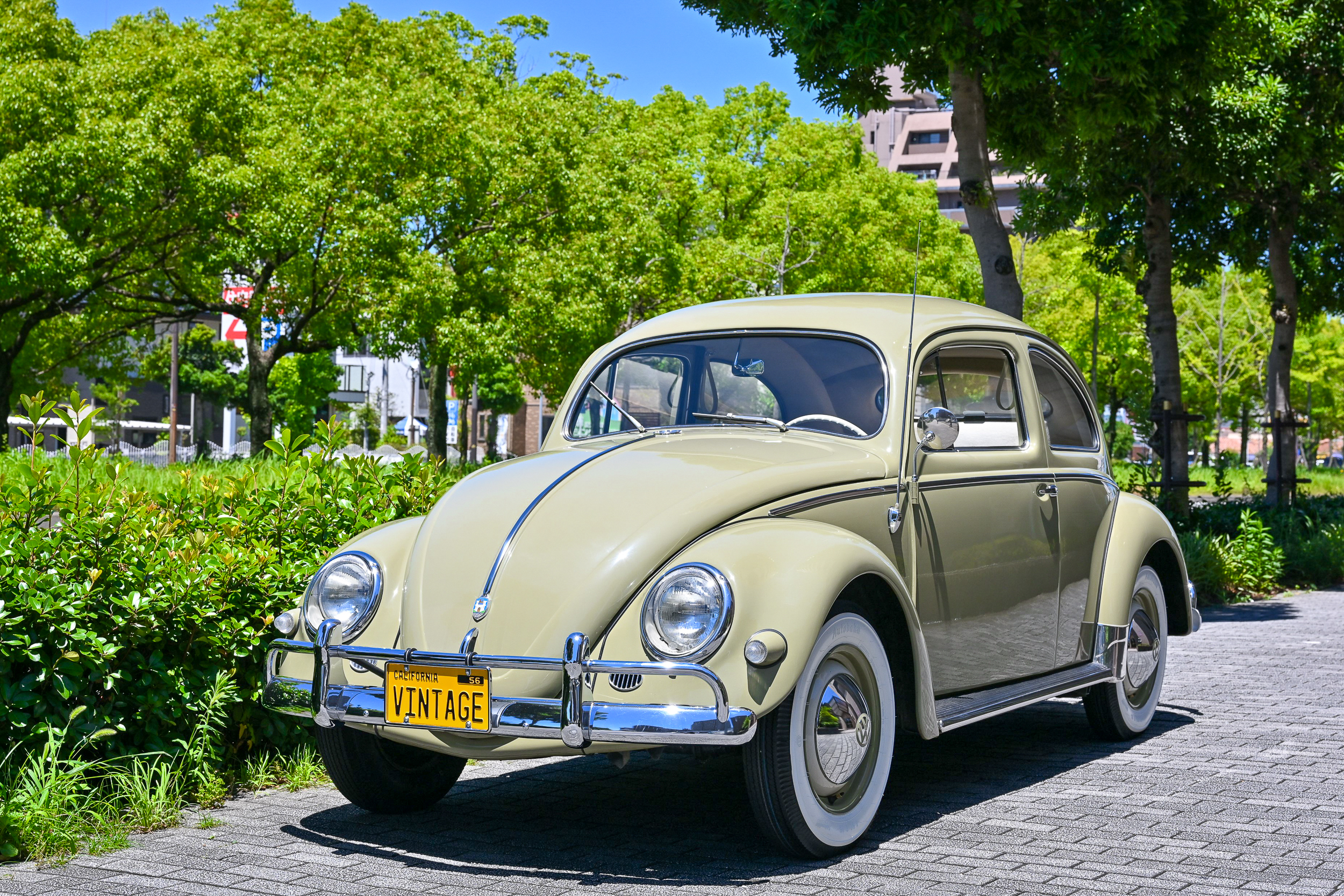 56 VW TYPE-Ⅰ BEETLE OVAL Window - GARAGE VINTAGE