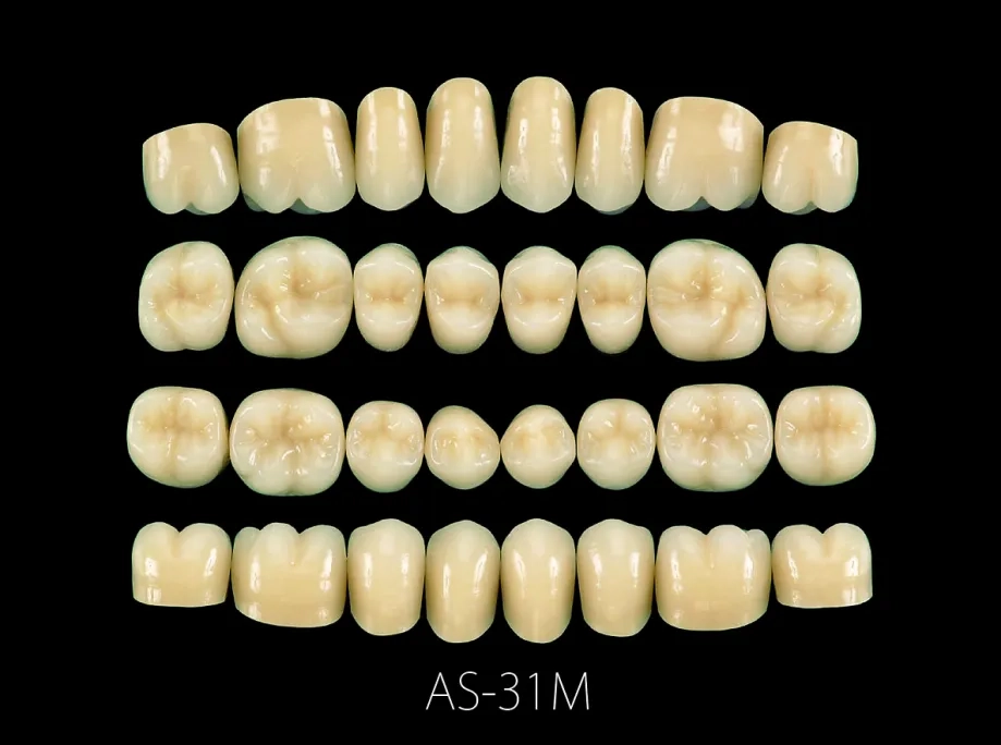 LIVDENT GRACE | 株式会社ジーシー