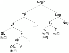 The syntax of sign language agreement: Common ingredients, but