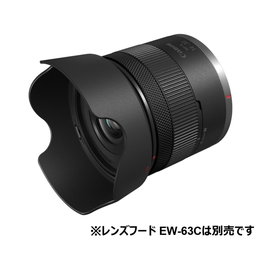 Canon(キヤノン) RF-S14-30mm F4-6.3 IS STM PZ 6916C001: レンズ 銀一