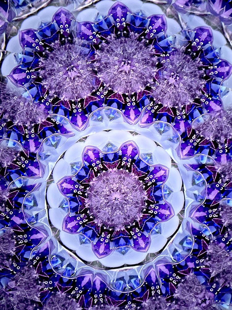 Chie「麗らか -The dreams of flowers」（パープル）(CE6009)3ミラー