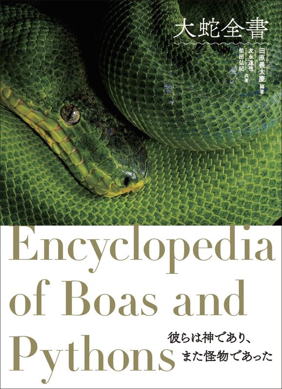 グラフィック社