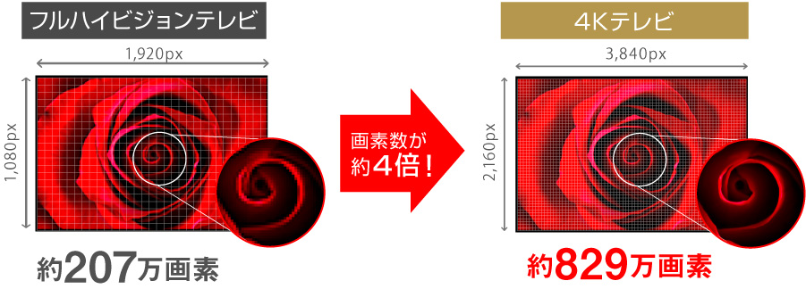 テレビ, テレビ本体・テレビ関連 | GH-TV50DGE-BK | GREEN HOUSE