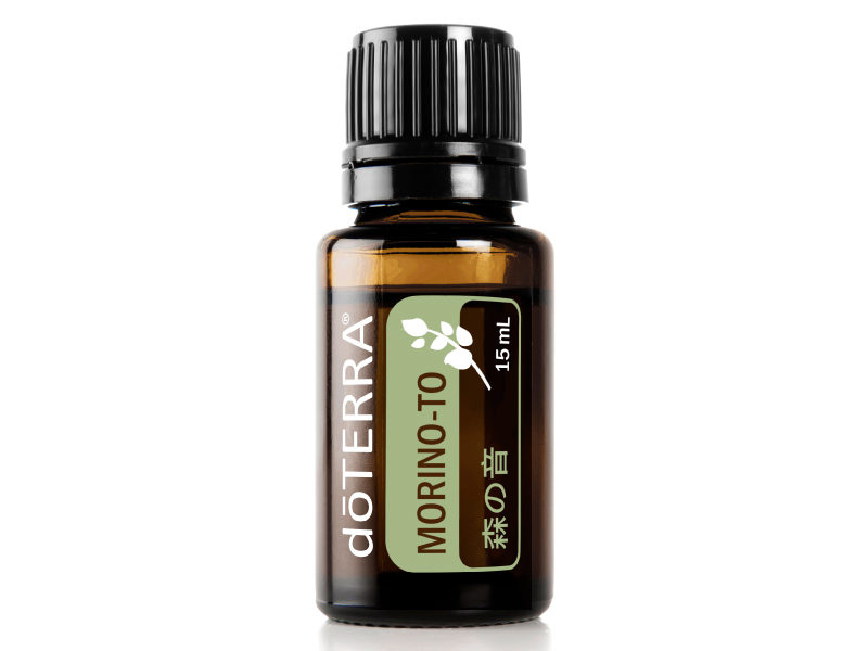 WA 森の音 デラックス登録キット - doTERRA TIMES