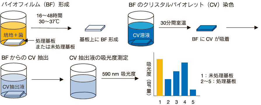 DOJIN NEWS | 同仁化学研究所 -DOJINDO-