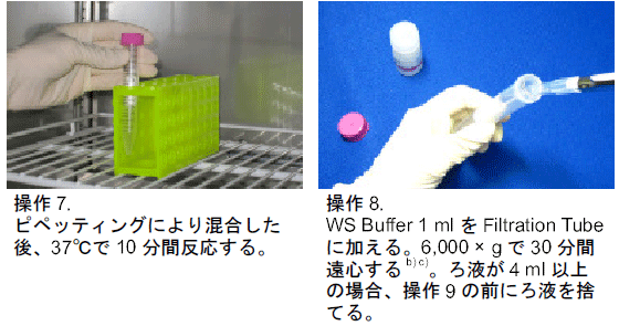フィシオエナジェティック　テストキット生体化学物質Part 2 身体を芯から改善！オステオパシーを取入れた治療！みのわ整骨院