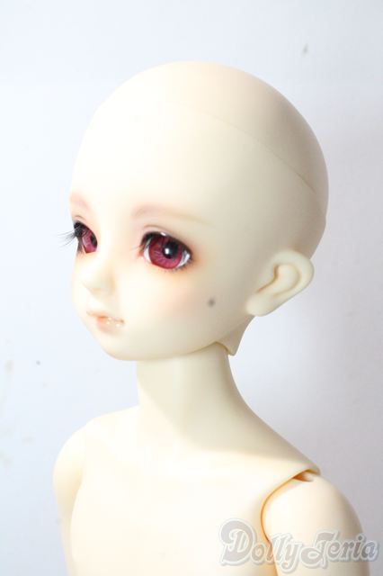 SD男の子/フルチョイス F-37 U-25-10-14-217-TN-ZU - DOLL UP!