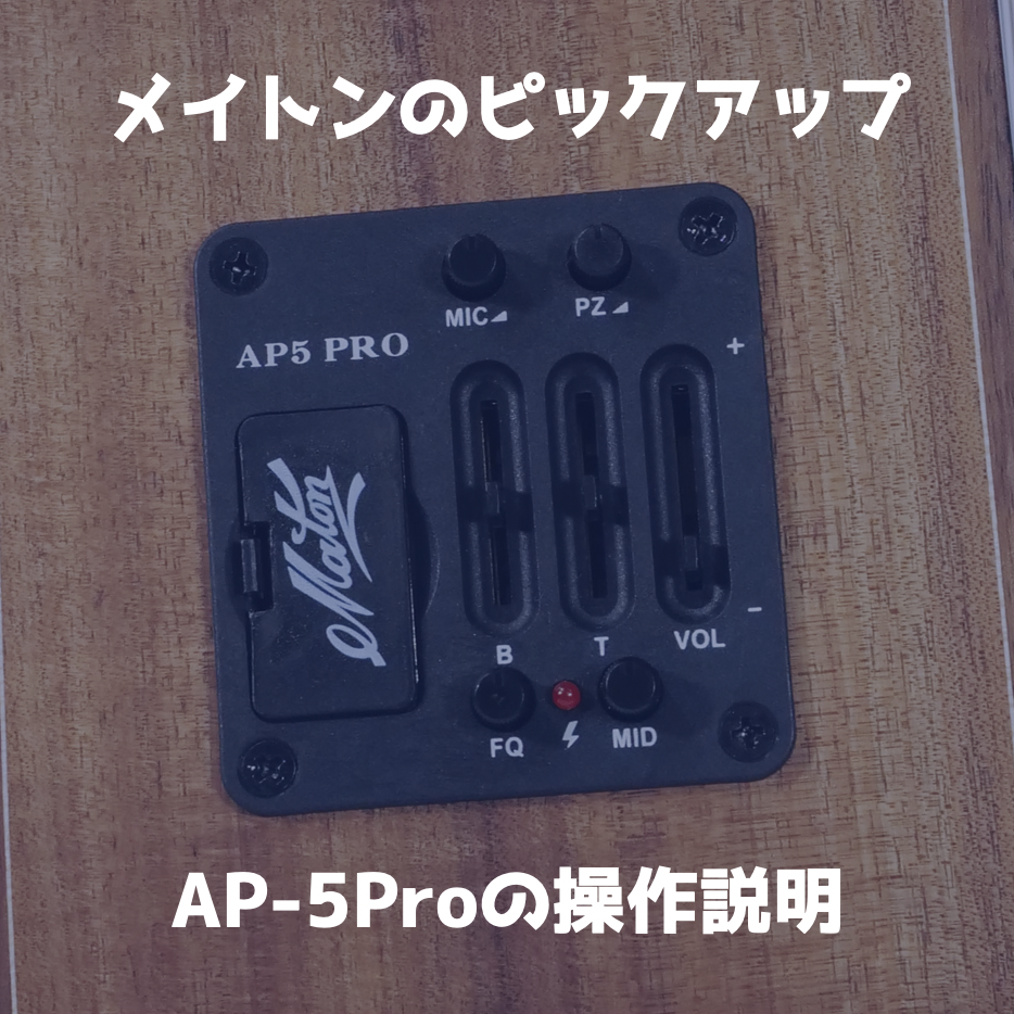 ドルフィンギターズ アコースティックギター・ウクレレ販売