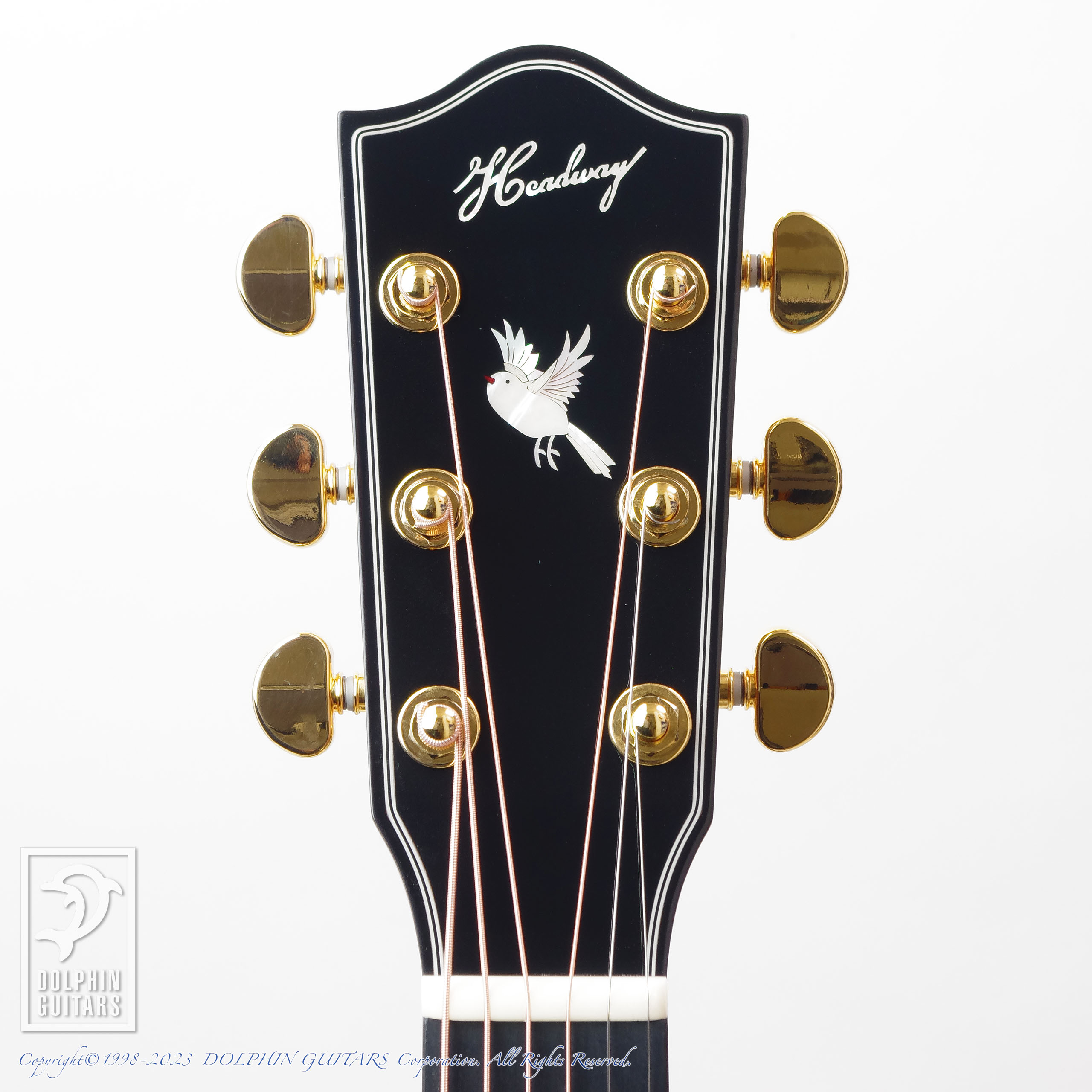 HEADWAY:HOC-NORTHBIRD