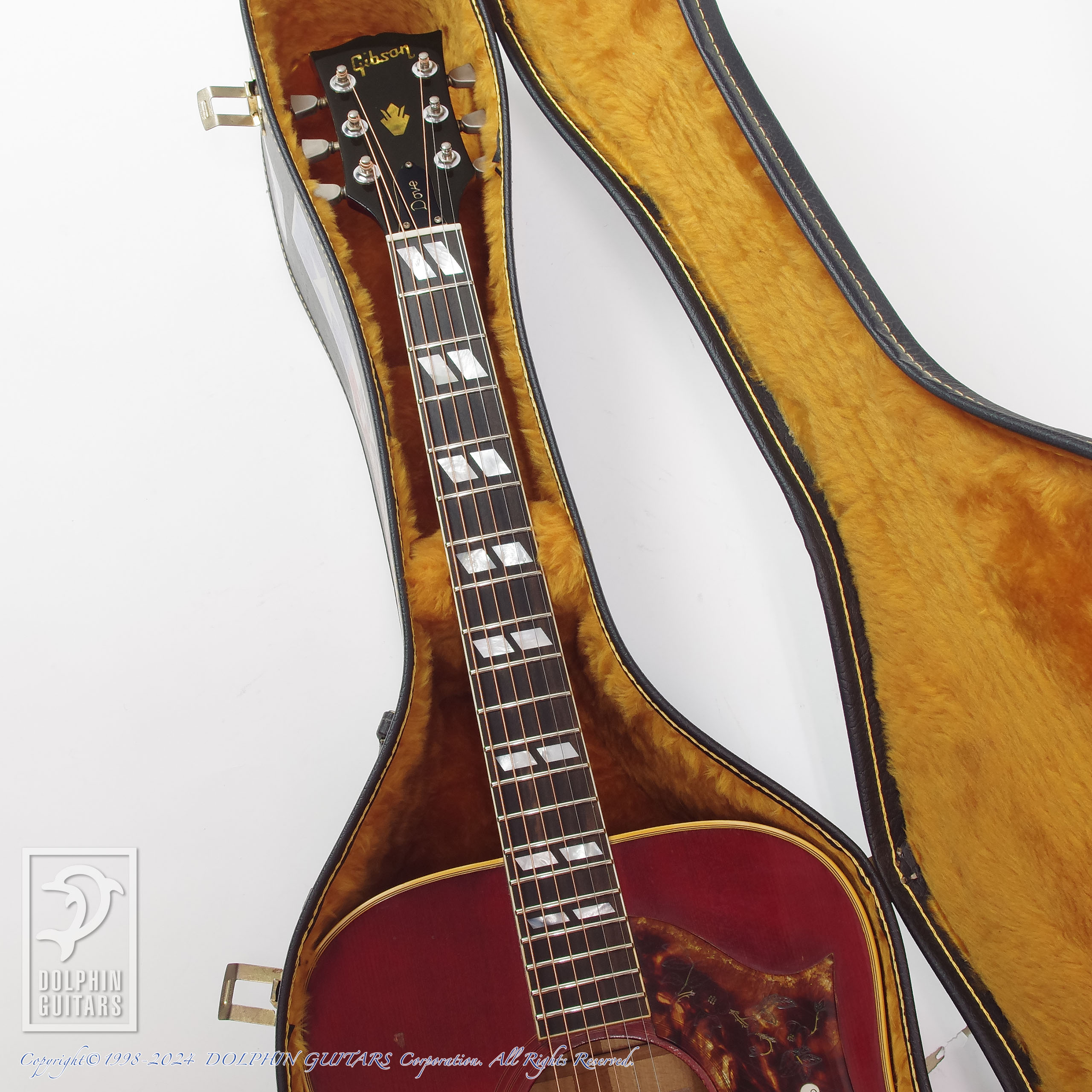 Gibson:Dove Custom